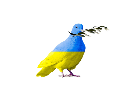 Blog wat en hoe 750x500